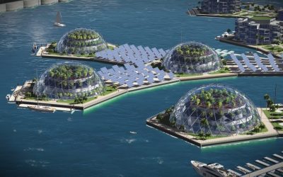 Seasteading New Countries at Sea