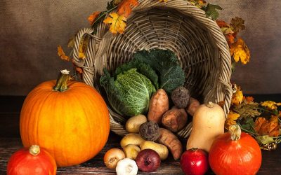 The Real Meaning of Thanksgiving: The Triumph of Capitalism over Collectivism