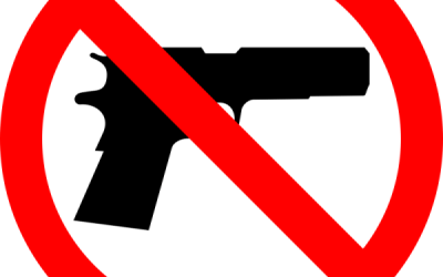 The Nature of the Anti-Gun Control Campaign